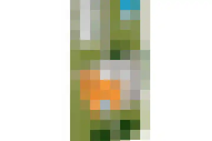 Vogelenzang 3 d Haaren thumbnail 72
