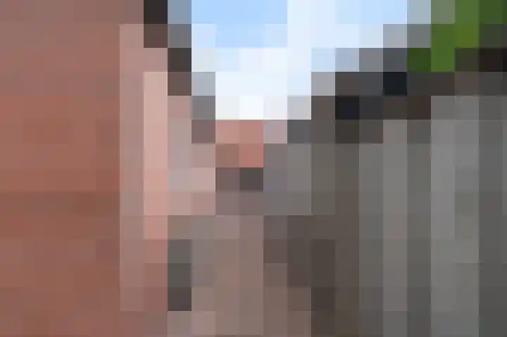 Vogelenzangstraat 37 Eibergen thumbnail 33