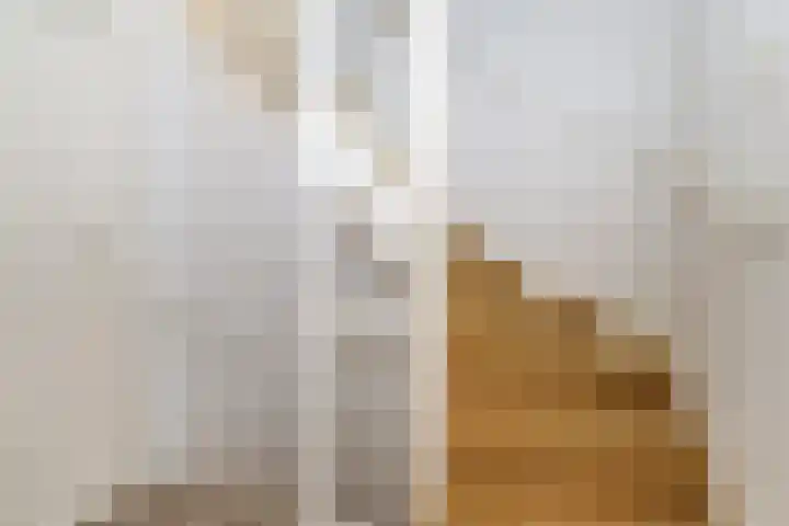 Vogelgaarde 36 Rockanje thumbnail 27
