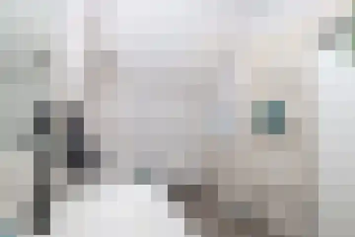 Vogelgaarde 36 Rockanje thumbnail 37