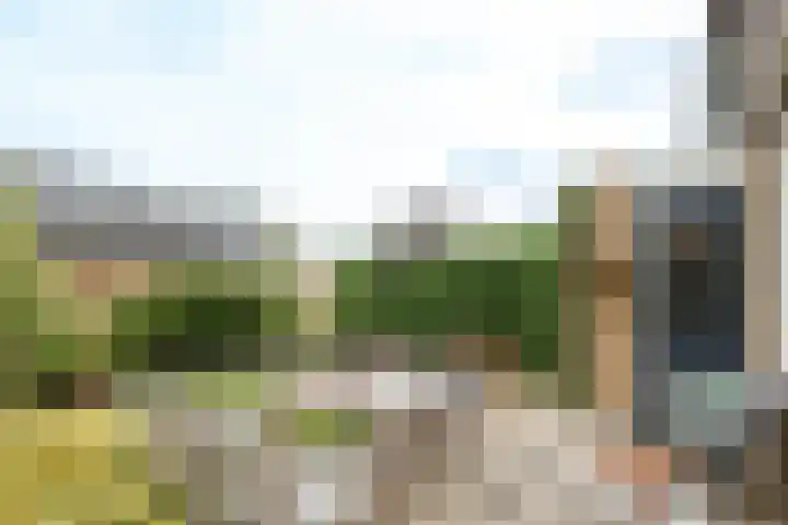 Vogelgaarde 36 Rockanje thumbnail 46