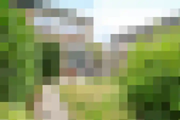 Vogelgaarde 36 Rockanje thumbnail 51