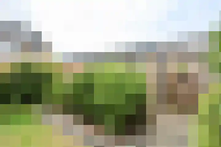 Vogelgaarde 36 Rockanje thumbnail 55