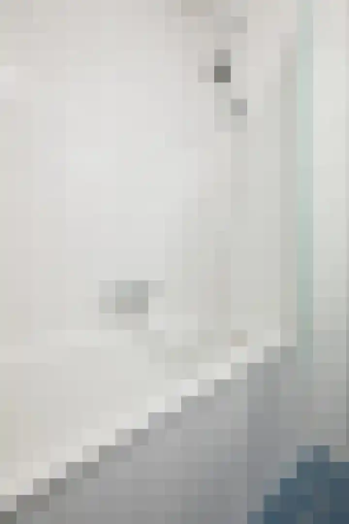 Vogelhei 14 Best thumbnail 18