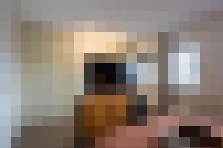Vogelhei 14 Best thumbnail 18