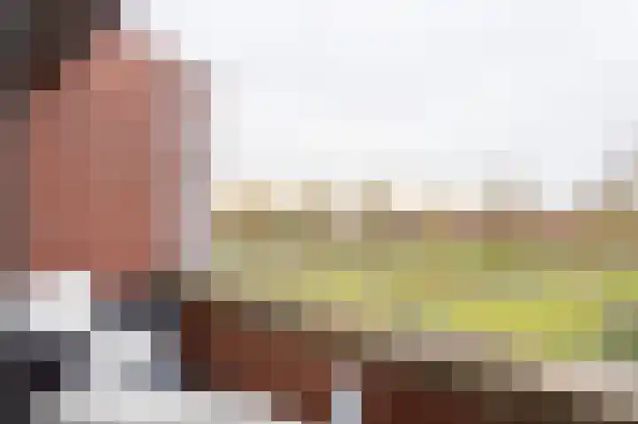 Vogelhei 14 Best thumbnail 28