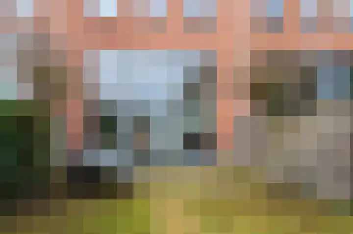Vogelhei 14 Best thumbnail 31