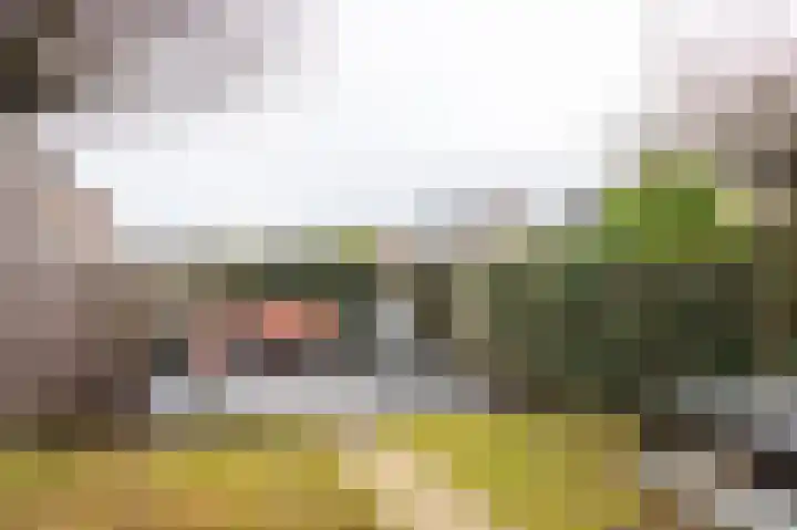 Vogelhei 14 Best thumbnail 32