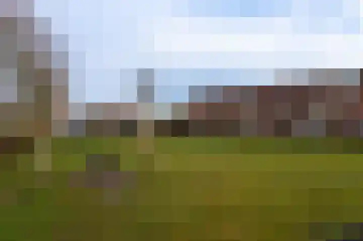 Vogelhei 14 Best thumbnail 35