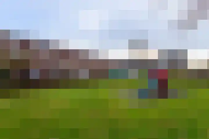 Vogelhei 14 Best thumbnail 36