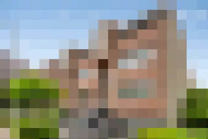 Vogelhei 2 in Best