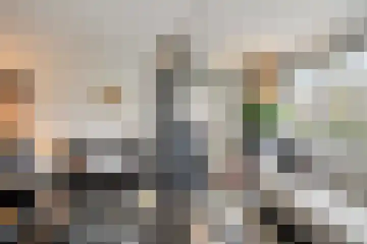 Vogelhei 31 Best thumbnail 12