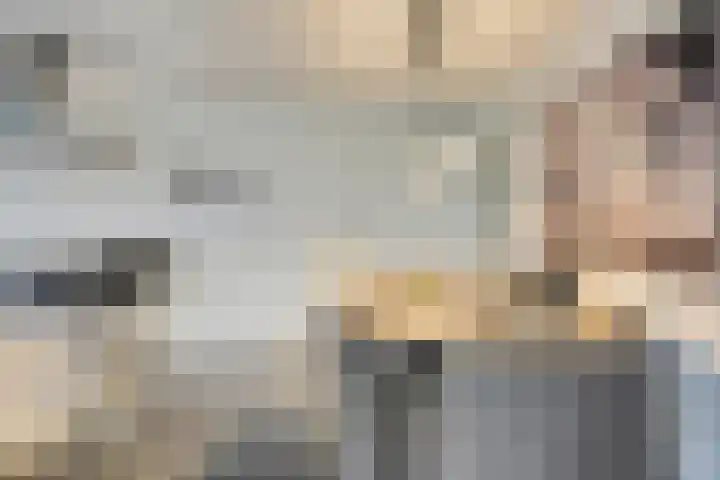 Vogelhei 31 Best thumbnail 16
