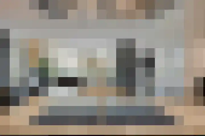 Vogelhei 31 Best thumbnail 20