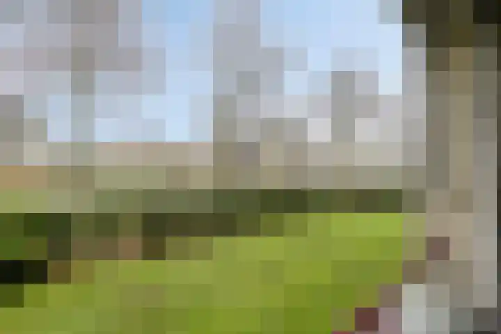 Vogelhei 31 Best thumbnail 22