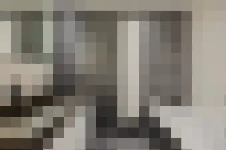 Vogelhei 31 Best thumbnail 28