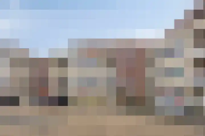 Vogelhei 31 Best thumbnail 35