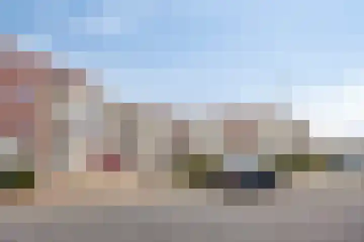 Vogelhei 31 Best thumbnail 38