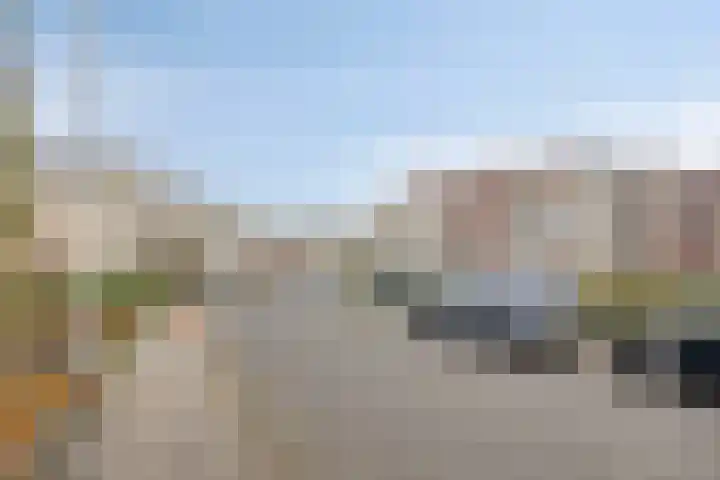 Vogelhei 31 Best thumbnail 39