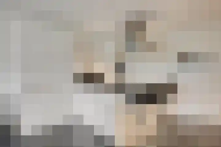 Vogelhei 31 Best thumbnail 4