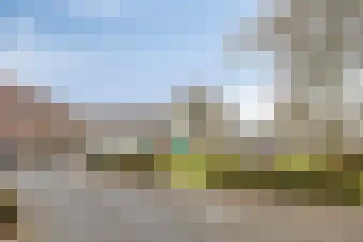 Vogelhei 31 Best thumbnail 41