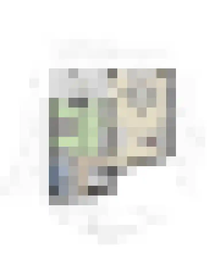 Vogelhei 31 Best thumbnail 42