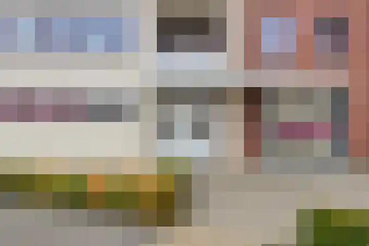 Vogelhei 31 Best thumbnail 5