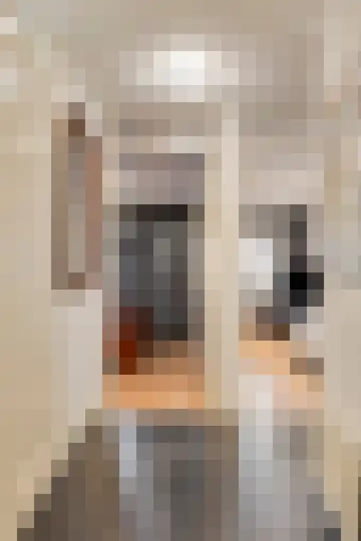 Vogelhei 31 Best thumbnail 9