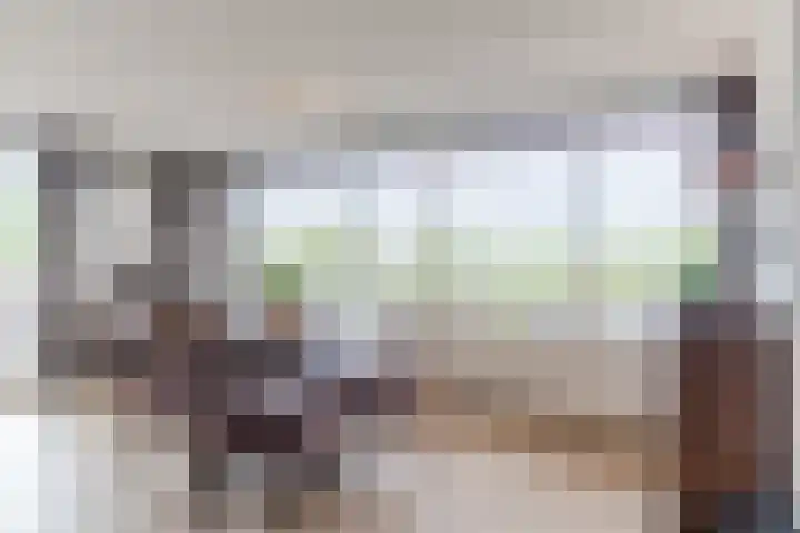 Vogelhei 77 Best thumbnail 17