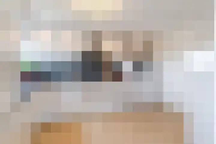 Vogelhei 77 Best thumbnail 19