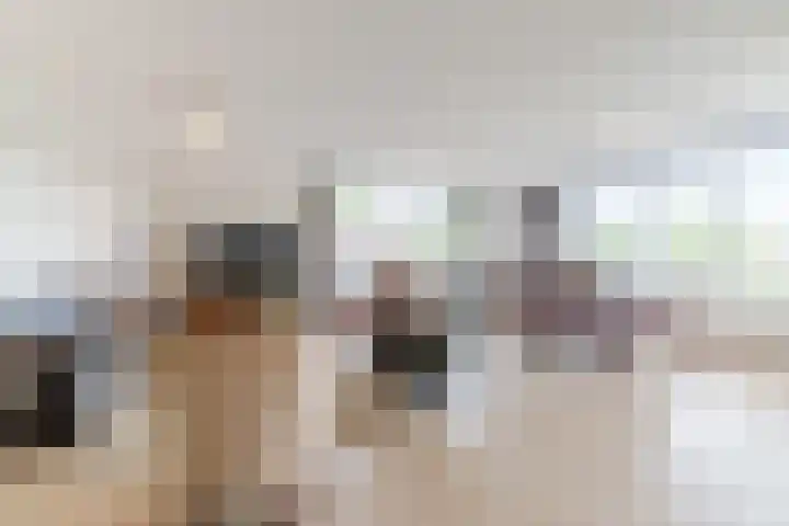 Vogelhei 77 Best foto 2