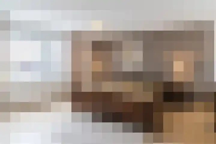 Vogelhei 77 Best thumbnail 21