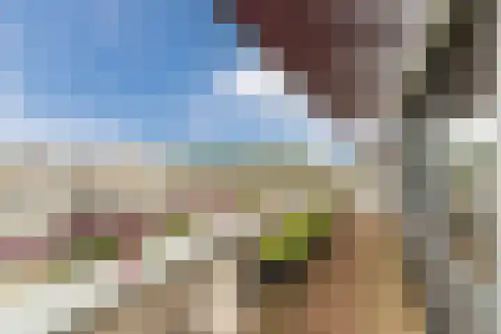 Vogelhei 77 Best thumbnail 31