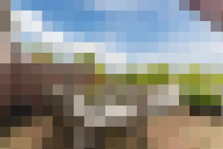 Vogelhei 77 Best thumbnail 32