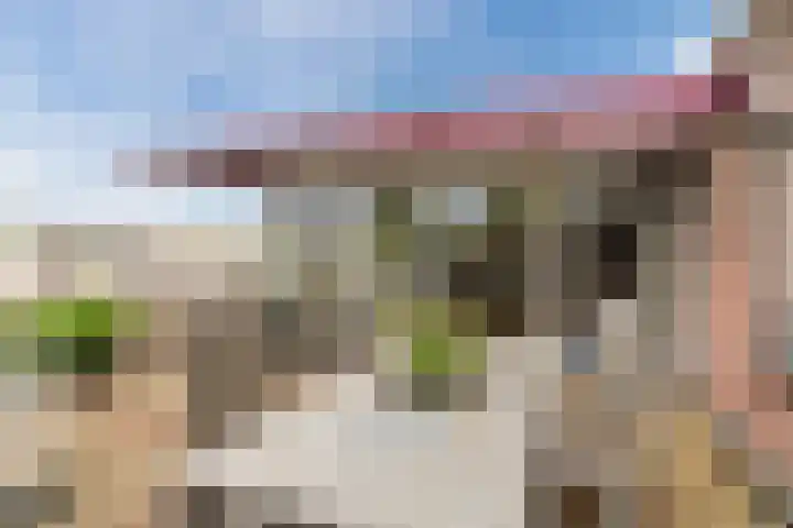Vogelhei 77 Best thumbnail 33