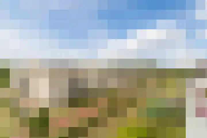 Vogelhei 77 Best thumbnail 36