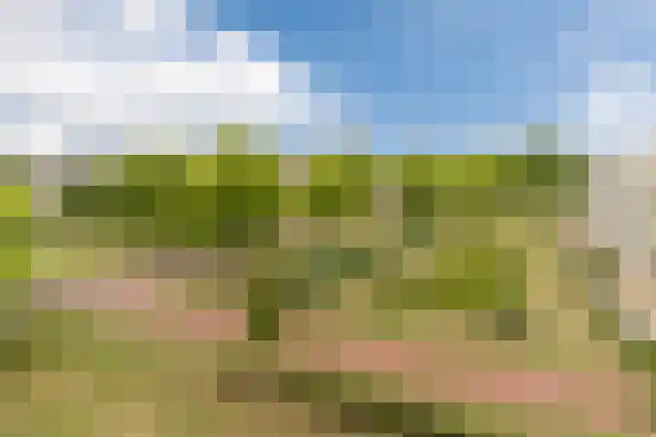 Vogelhei 77 Best thumbnail 37