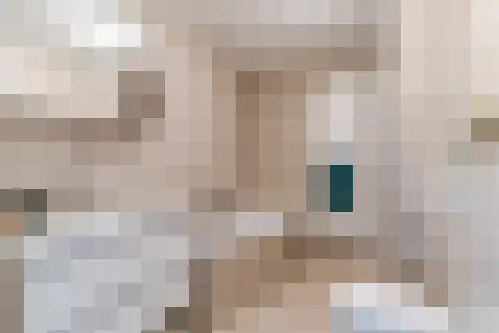 Vogelhei 77 Best thumbnail 4