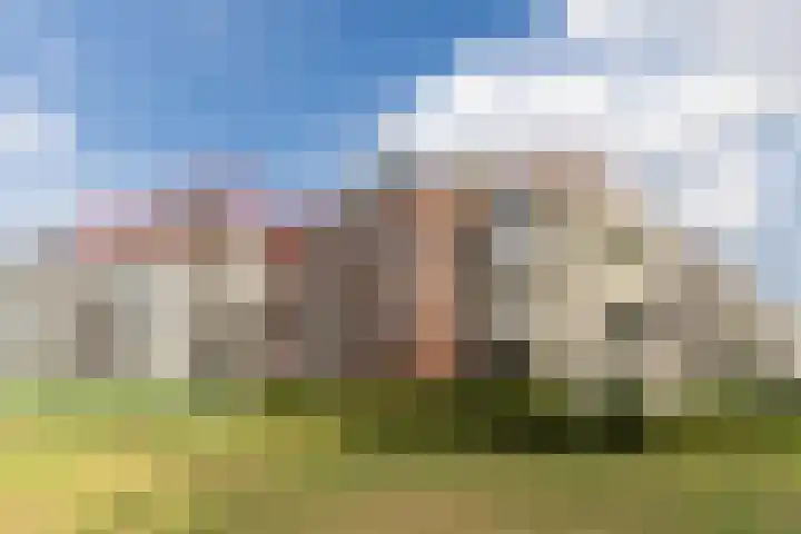 Vogelhei 77 Best thumbnail 41