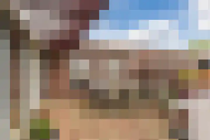 Vogelhei 77 Best thumbnail 5