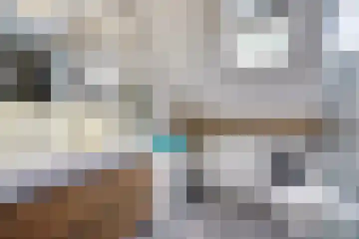 Vogelkade 4 Amsterdam thumbnail 17