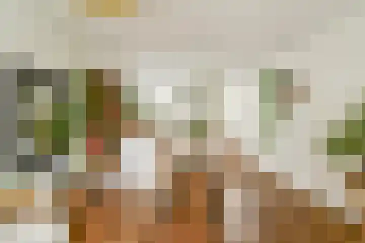 Vogelkade 4 Amsterdam foto 2