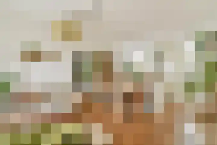 Vogelkade 4 Amsterdam thumbnail 4