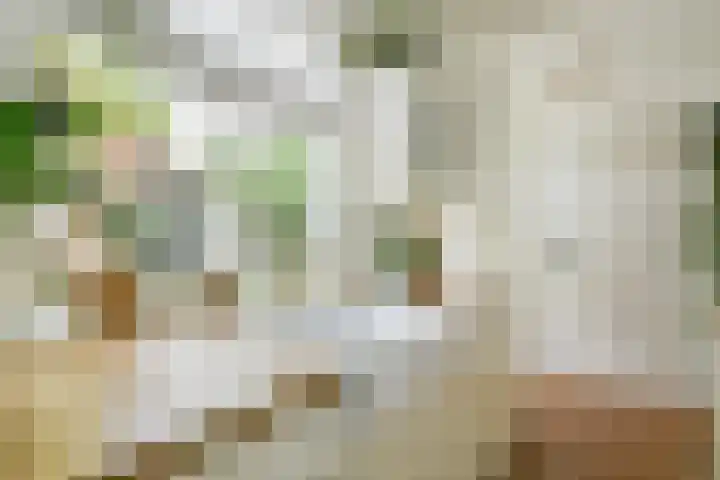 Vogelkade 4 Amsterdam thumbnail 8