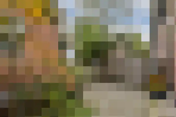Vogelkade 4 Amsterdam thumbnail 9