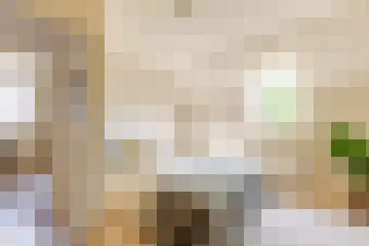 Vogelkers 11 Helvoirt thumbnail 16