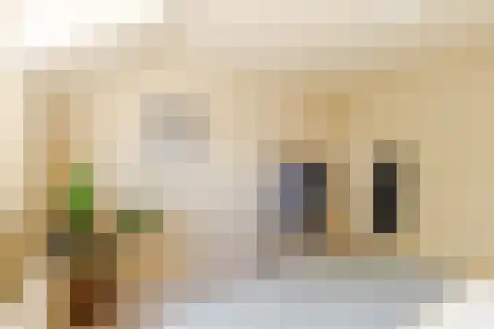 Vogelkers 11 Helvoirt thumbnail 17