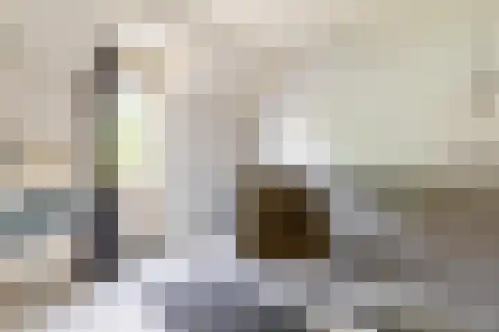 Vogelkers 11 Helvoirt thumbnail 18