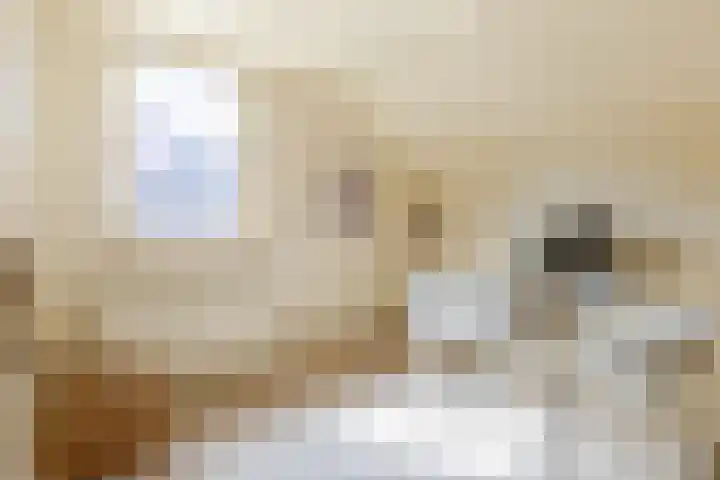 Vogelkers 11 Helvoirt thumbnail 21