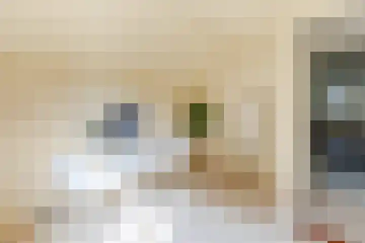 Vogelkers 11 Helvoirt thumbnail 22